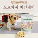 펫퍼플 인푸드 오토파지 데일리 치킨케어 강아지영양식 후기