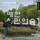 사계요가 | [사계와 요가 야외 요가] 양재 야외 요가 후기ㅣ따뜻한 보이차와 함께...