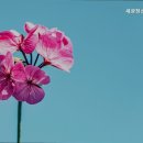 세광정신요양원