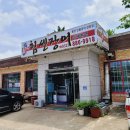 힘센 민물장어 이미지