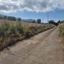 제주가자공인중개사사무소 이미지