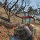 지업농장 이미지