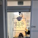 멍장원 이미지