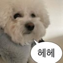 1:1엘·핏 이미지