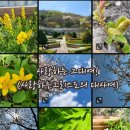 화목사 이미지