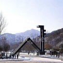 서울대학교 이미지