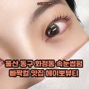헤이뽀 | [울산 동구 속눈썹펌] 블랙틴팅 수분 속눈썹펌 성지 ‘헤이뽀뷰티’ 빠짝컬 솔직후기 (+2주차 후기)