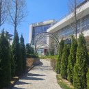 더멜