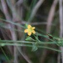 석영목장 이미지