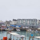 노틸러스다이브제주