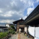 댕댕하동 이미지