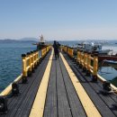 황금낚시 | 서해 태안 안면도 선상낚시 황금백호 우럭 배낚시 체험 후기