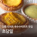 강릉 타르트 맛집 초당밀 방문 후기 - 강릉 디저트맛집 옥수수타르트 젤라또 맛집