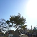 상사초등학교 병설유치원 이미지