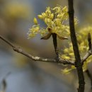 산본중앙공원 이미지