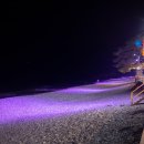 해성비치회맛집 이미지