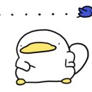 홍주방 정관점 이미지