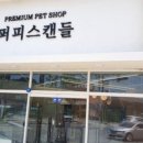 퍼피스캔들 이미지