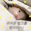 동인자동차정비 이미지