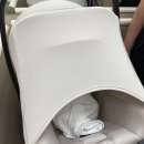 라엘마음병원 | [디어원산후조리원]1.디럭스룸 2주 이용 후기(룸컨디션, 식사 +리무진서비스)