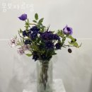몽보자르뎅 | 목동꽃배달 몽보자르뎅 가격 추천 후기