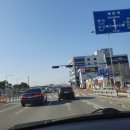 월천동물병원