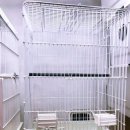 국민농장 이미지