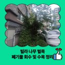 사세충열로 | 빌라 나무 벌목 폐기물 회수 및 수목 정리