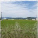 영덕 스테이 이미지