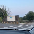 [호텔후기] 제주도 히든클리프 호텔&amp;네이처 디럭스 더블가든 숙박후기🏨