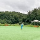 고란집 민박 네이버블로그