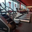 일죽스포렉스 이미지