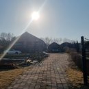 샤인스테이 이미지