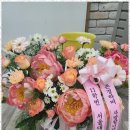 물화생지과학학원