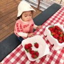 딸기슈퍼 - 경산시 | 딸기슈퍼