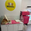 댕댕프렌즈