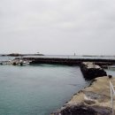 귀덕귀덕 이미지