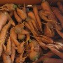 사남매농장2 이미지