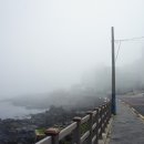 도로시하우스 이미지