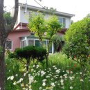 화순허브뜨락 이미지