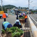 화정면사무소 이미지