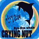 안녕고래 이미지