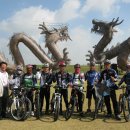 코스모스축제장 제방 이미지