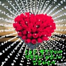 꽃빛한방병원 이미지