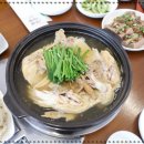 청송오리