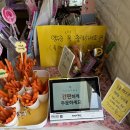 빠꿈사리 이미지