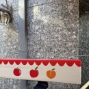 제철로 | 감홍사과 특징 제철 과일 구매후기