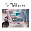 뚜뚜애견 이미지