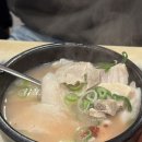 서면 돼지국밥 송정3대국밥 내돈내산 후기