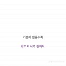 안정제 Daum카페